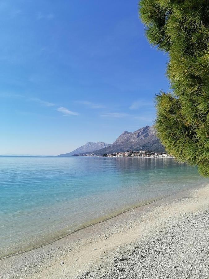 Ferienwohnung Studio Apartman Zana Gradac  Exterior foto